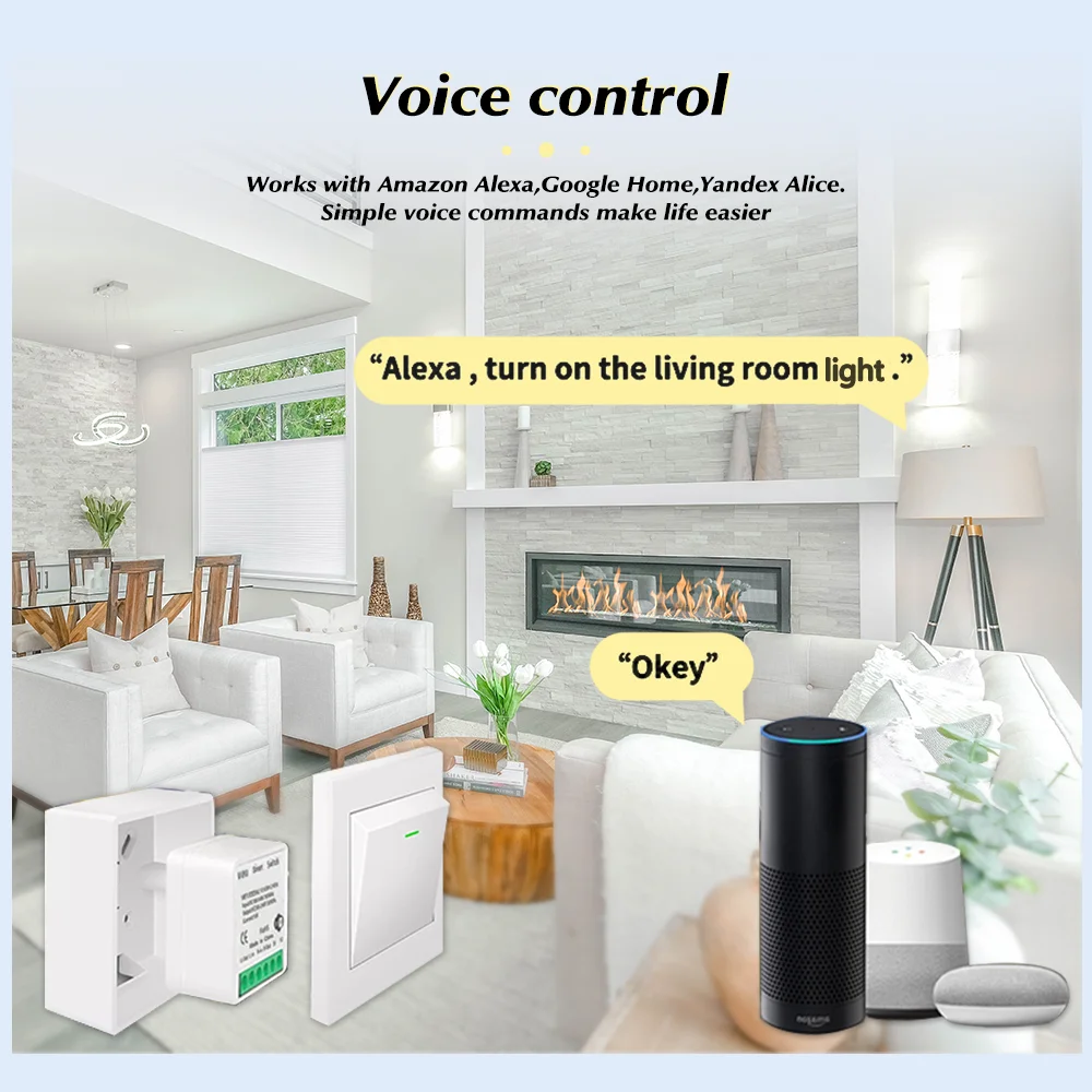 For Tuya Mini Smart WiFi Switc – Diy Automation Bewertung und Preis