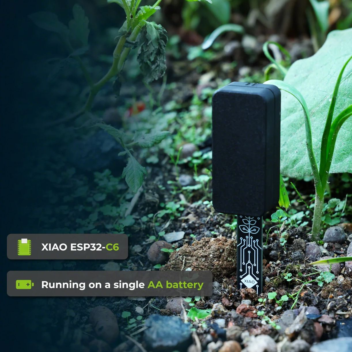 XIAO ESP32 C6 Soil Moisture Se – Home Automation Tutorial Bewertung und Preis