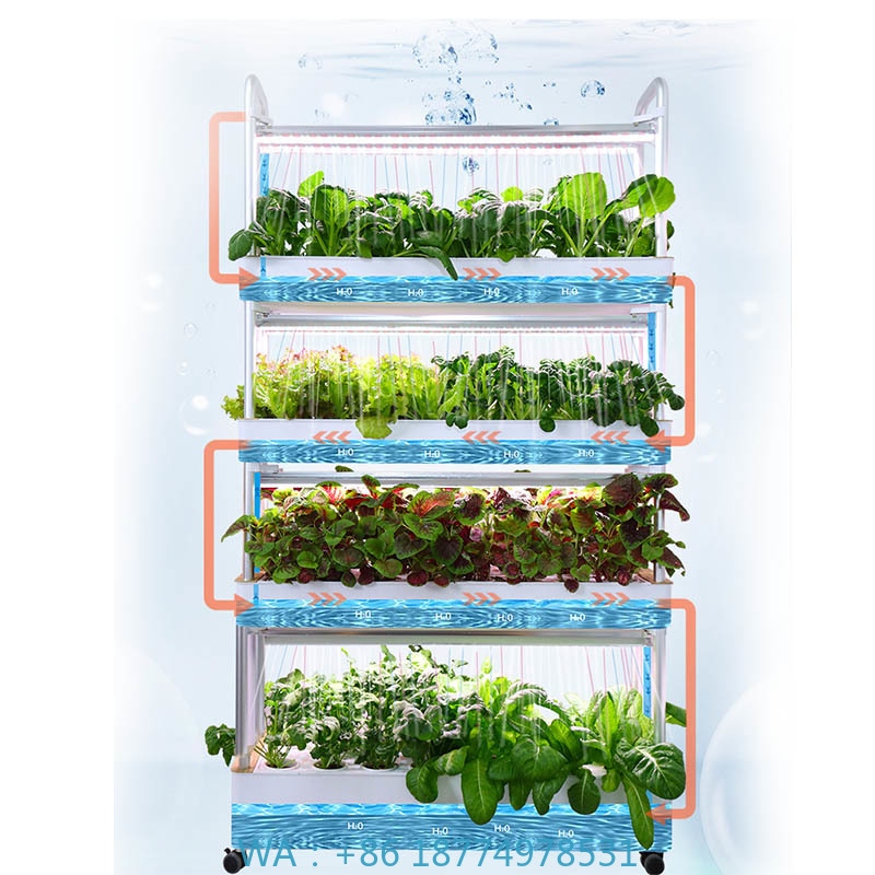 ydroponic Planting System Smar – Diy Automation Bewertung und Preis