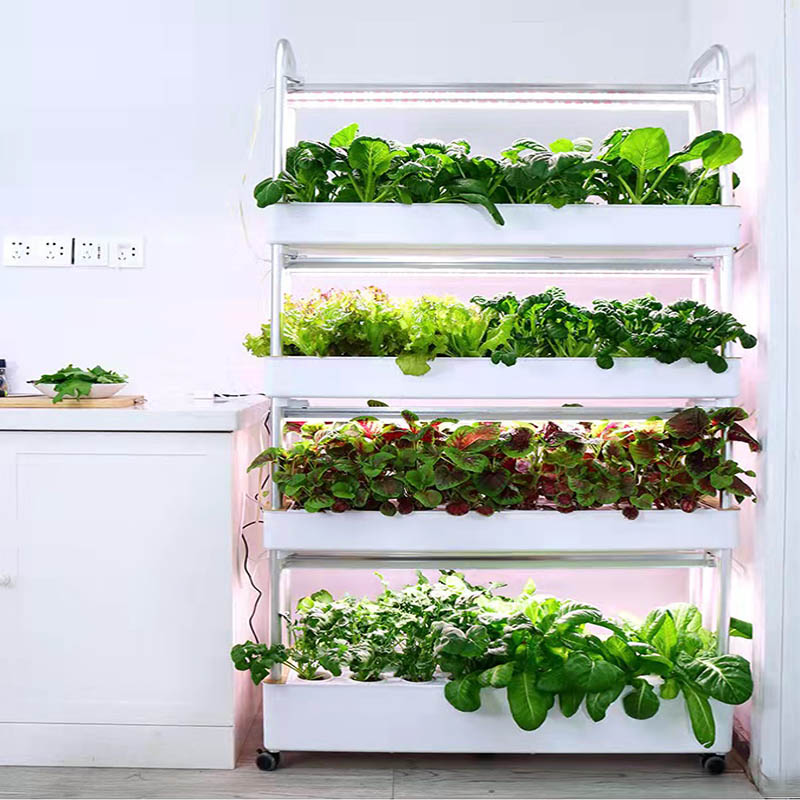 ydroponic Planting System Smar – Diy Automation Bewertung und Preis