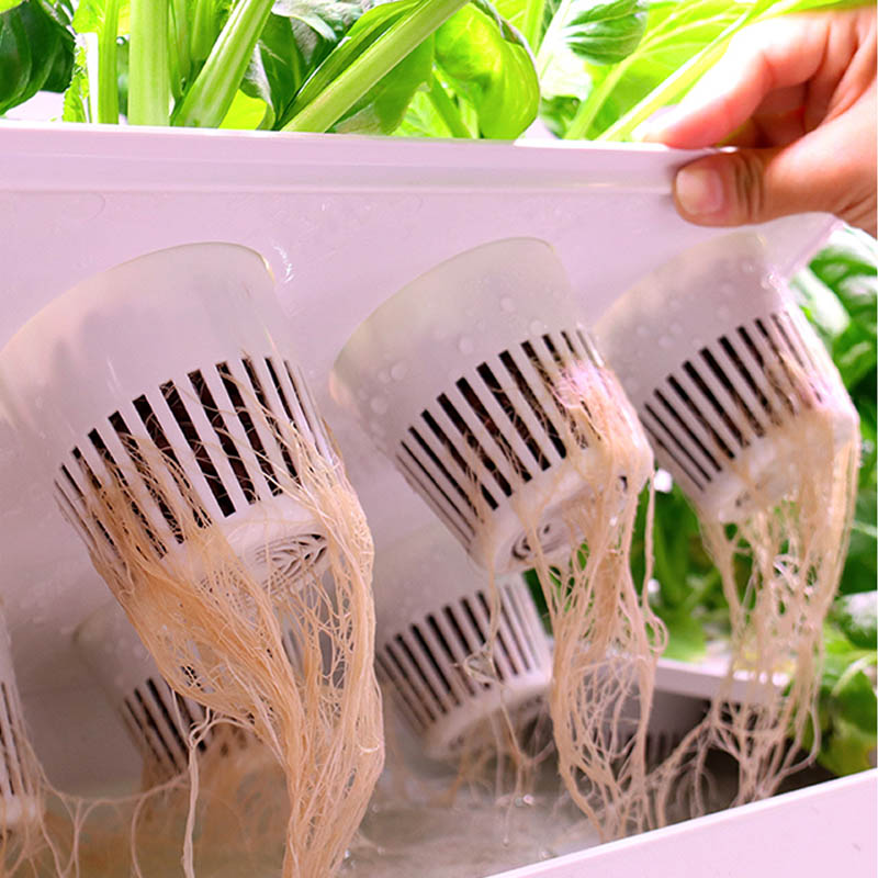 ydroponic Planting System Smar – Diy Automation Bewertung und Preis
