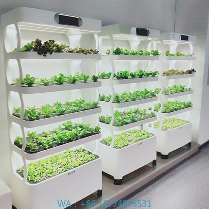 Hydroponic Automated Grow Syst – Diy Automation Bewertung und Preis