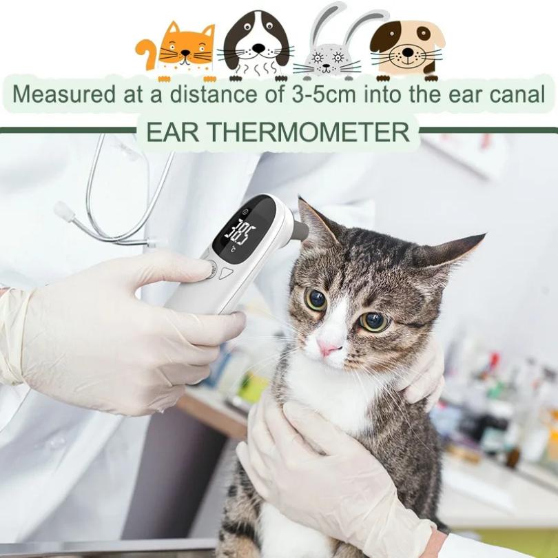 Infrared Pet Dog Cat Ear Therm – Home Automation Industry Bewertung und Preis